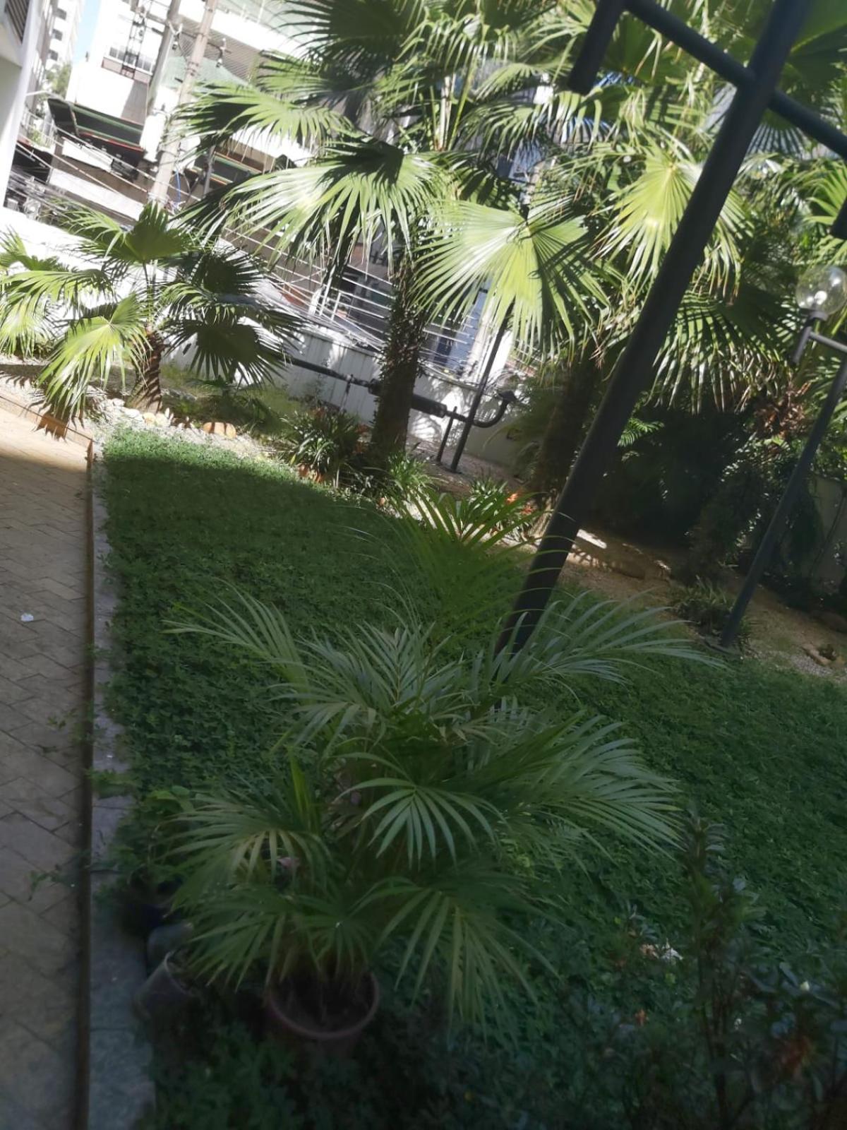 M-flat Gold - Paulista 4* São Paulo